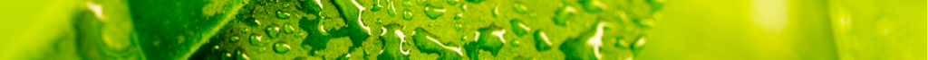 bandeau-feuille-ENERGIE-01